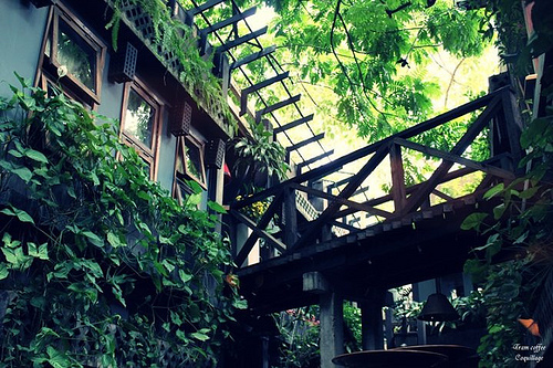 10 quán cafe sân vườn đẹp ở Sài Gòn. Ảnh 24